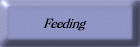 Feeding 